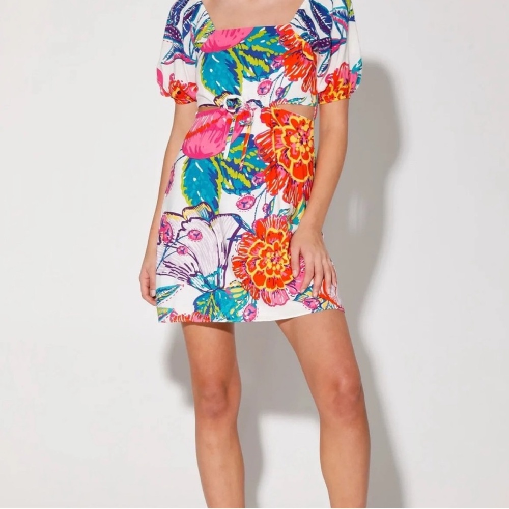 Walter Baker Floral Cutout Mini Dress Sz 12